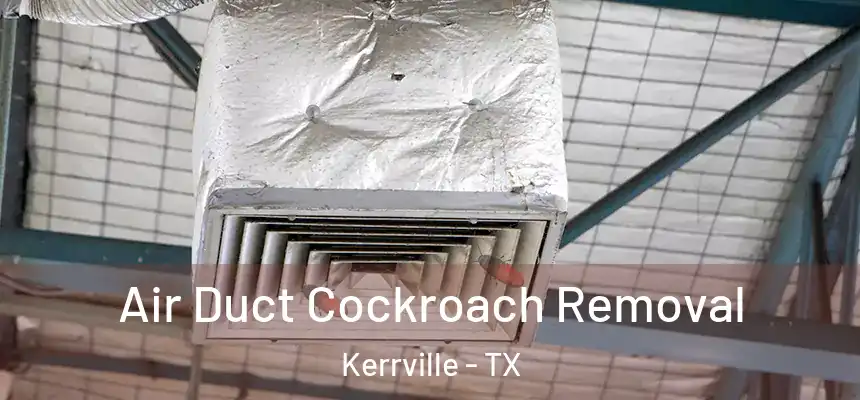 Air Duct Cockroach Removal Kerrville - TX