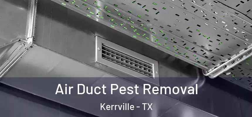  Air Duct Pest Removal Kerrville - TX
