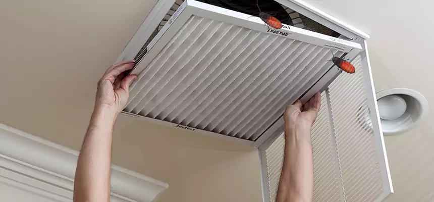Preventive Cockroach-Proofing for Ducts in Kerrville