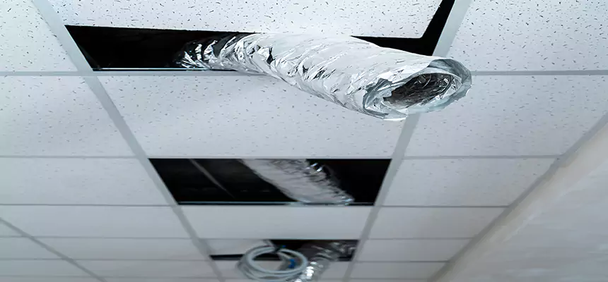 Our Air Duct Pet Hair Removal Services in Kerrville, TX