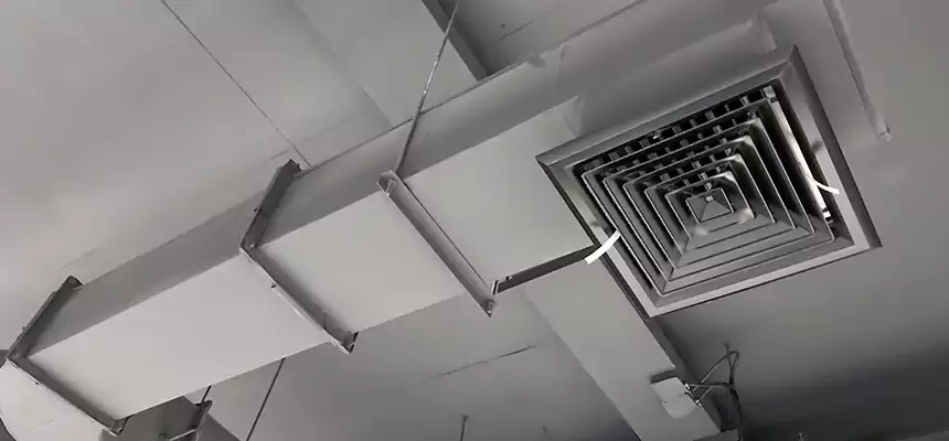 Our Pest Removal From Ducts Services in Kerrville, TX