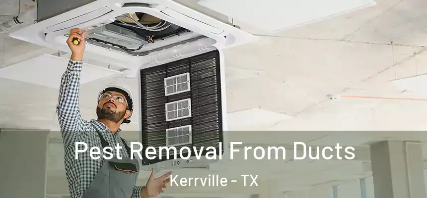 Pest Removal From Ducts Kerrville - TX