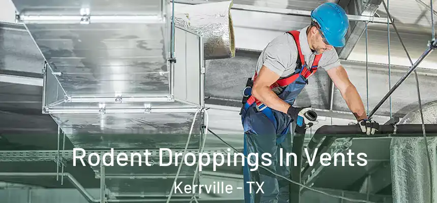  Rodent Droppings In Vents Kerrville - TX