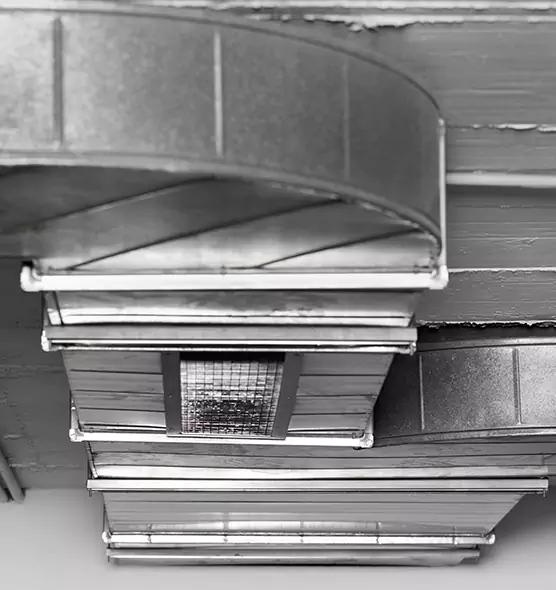 Professional Air Duct Pest Removal in Kerrville, TX