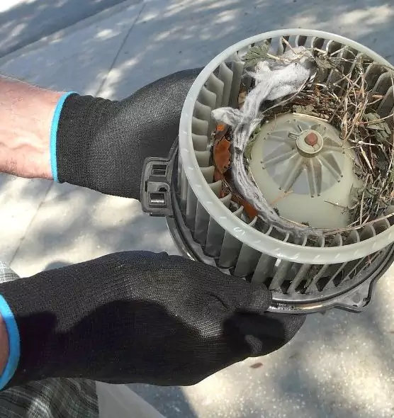 About Air Duct Rat Removal in Kerrville, TX