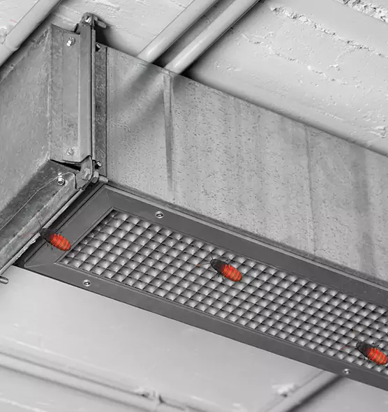 Affordable Insect Removal from Air Ducts in Kerrville, TX