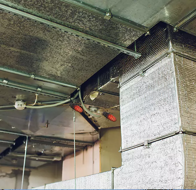 Why Homeowners & Businesses Trust Us in Kerrville, TX?