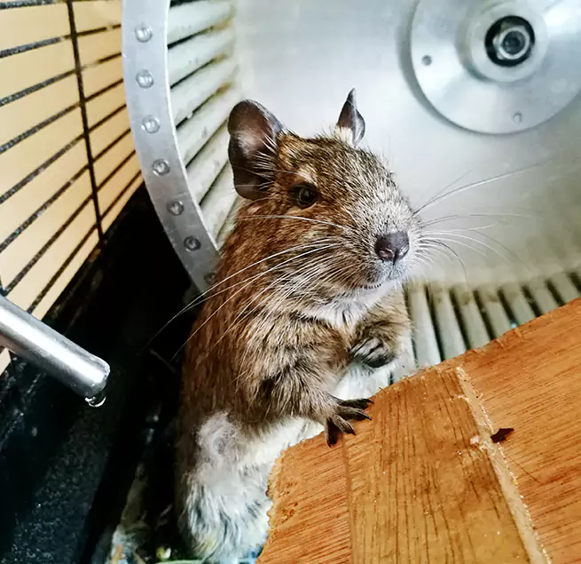 Why Homeowners & Businesses Trust Us Kerrville, TX?